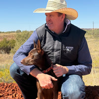 Men's Kader Black Vest - Soft Shell