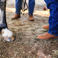 Photo-13-1-19-5-47-31-am-2